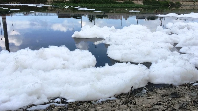 Bọt trắng theo dòng nước tấp vào hai bên bờ kênh. 